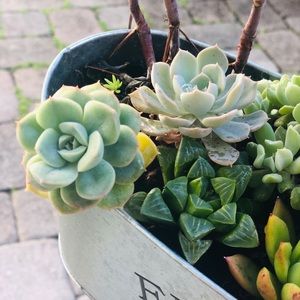 Meet your Posher, Beckina